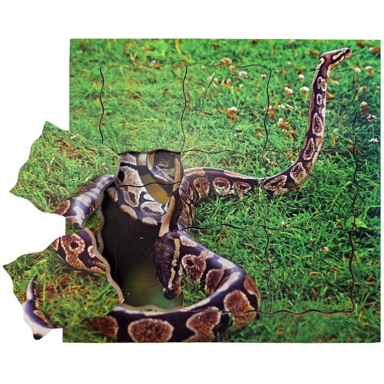 Just Jigsaws 644 Had a jeho životní cyklus - dřevěné vrstvené puzzle 19 dílů